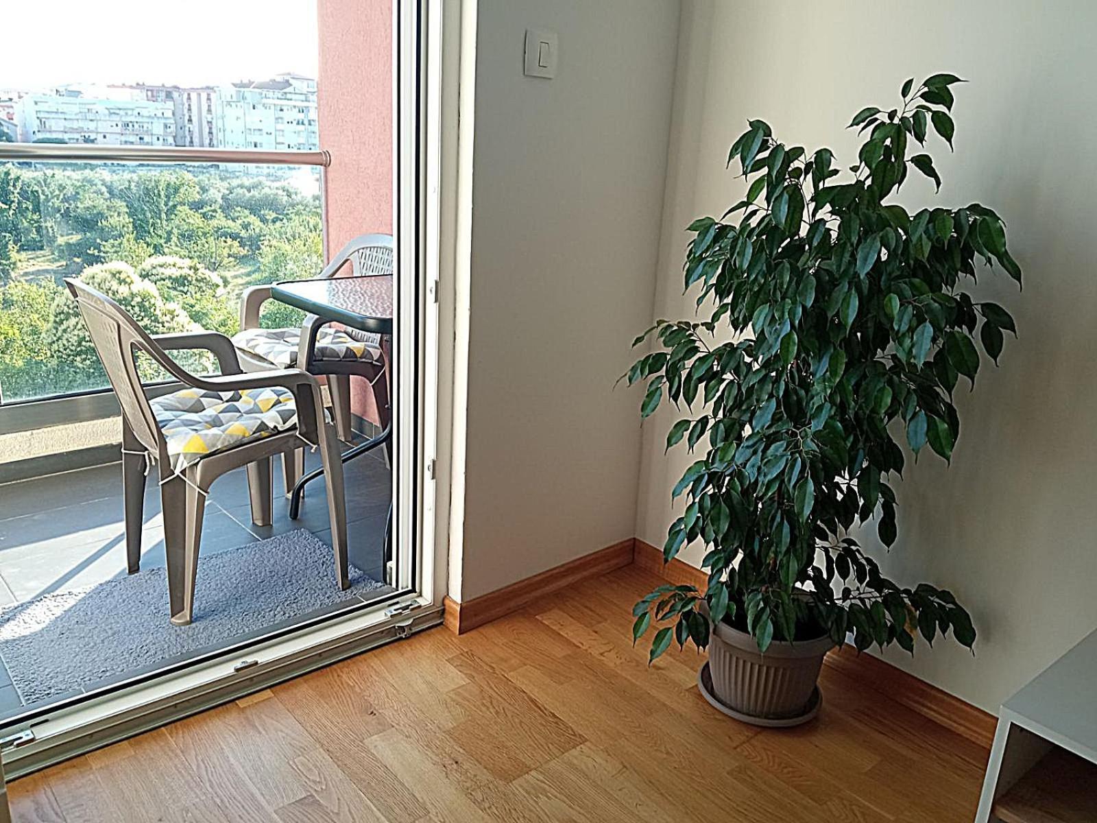 Renta apartman 2 Podgorica Bagian luar foto